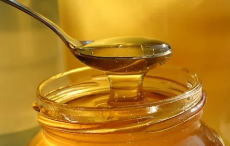 Продаж меду оптом