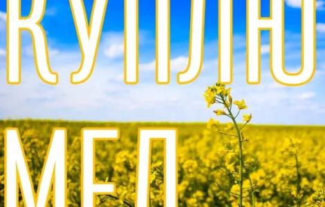 КУПЛЮ МЕД в Миколаївській області