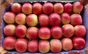 Пропонуються яблука сорту Айдаред