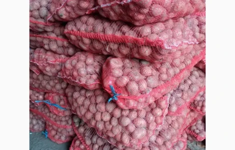 Насіннєва картопля сорту Белароса, 2 репродукція, 2.5 т