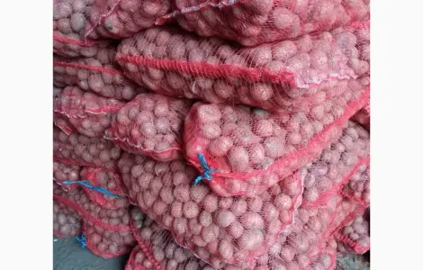 Насіннєва картопля Белароса 2 репродукція 2.5 т
