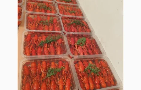 Продаж вареноморожених раків оптом