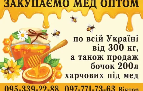 Закупаем мед оптом по Львовской области