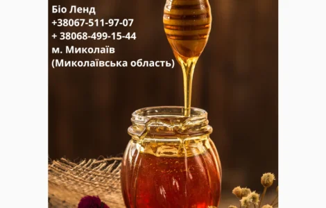 Закупаем мед оптом