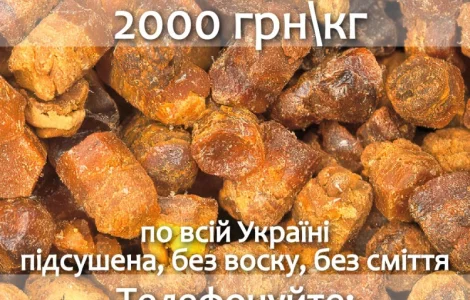 Куплю пергу оптом по всей Украине