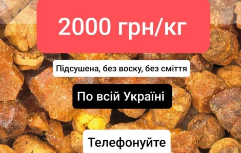 Куплю пергу по 2000 грн/кг