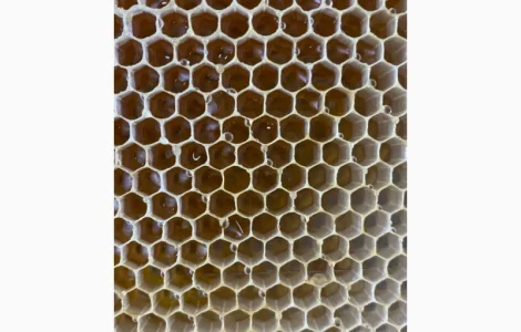 Продается рамка с медом