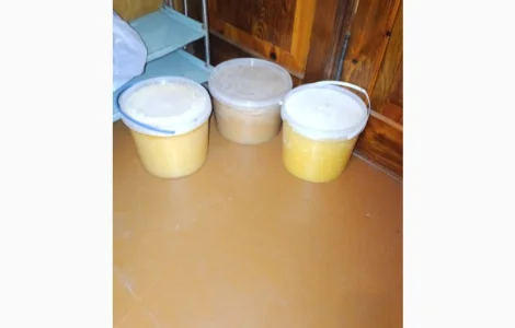 Пропонується мед 2024 року