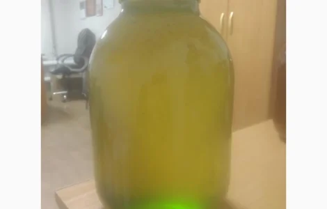 Купуємо мед різних сортів оптом