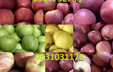 Продаються яблука різних сортів з холодильника