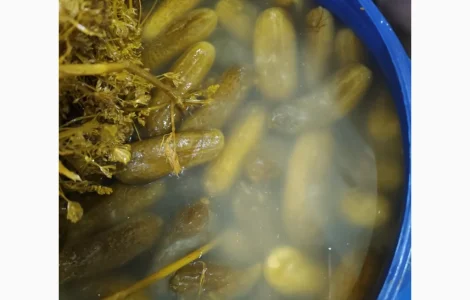 Квашеные огурцы оптом 6-9; 9-12, хорошее качество