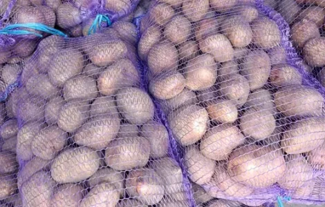 Продажа крупной товарной картошки – 10 тонн