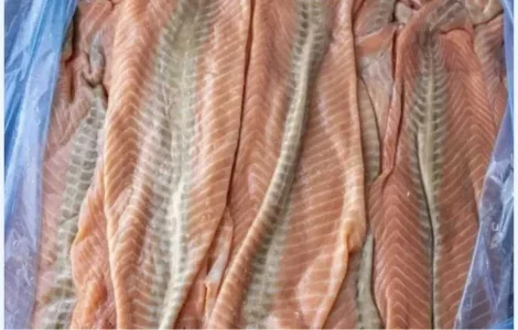 Мясо лосося свіжоморожене