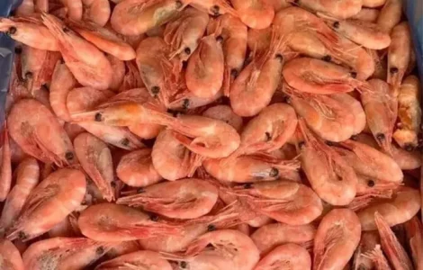 Креветка 200 + готова до вживання