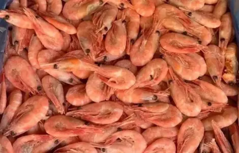 Креветка 200 + готова до вживання