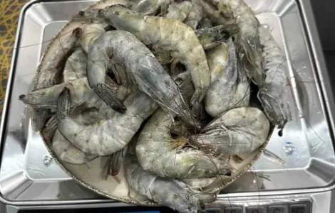 Креветка 30.40 без глазурі