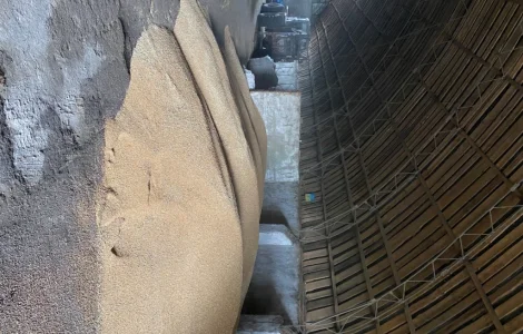 Продается яровая пшеница