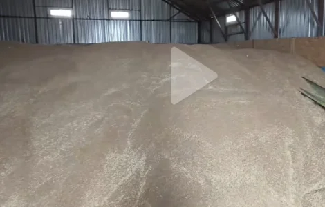 Продається пшениця 2025 року