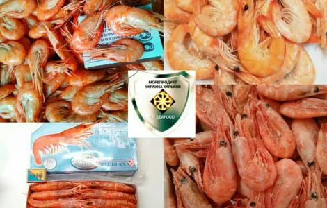 Креветки черноморские, атлантические, индийские