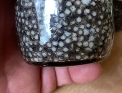 НАТУРАЛЬНАЯ черная икра