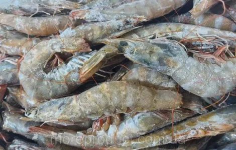 Креветка Ваннамей 70\80, с\м, з гол, в панцирі