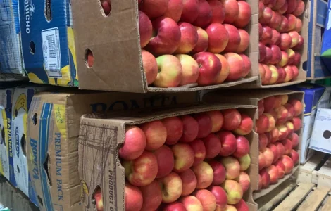 Продаю яблука сорту Айдаред