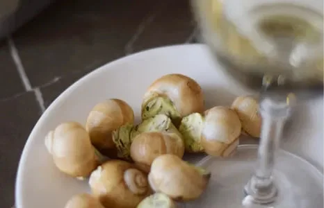 Равлики фаршировані по-бургундськи