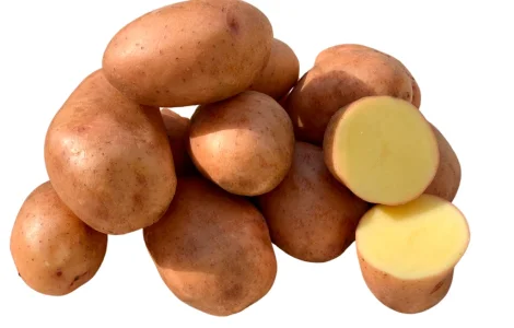 Насіннєва картопля Мирослава (1 репродукція) - продаж