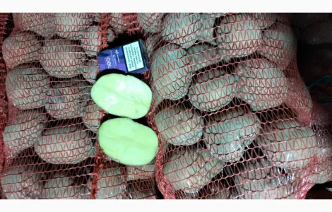 Картофель товарный оптом