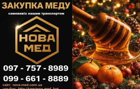 Закупаем мед из подсолнечника от 500 кг в Днепре и соседних областях