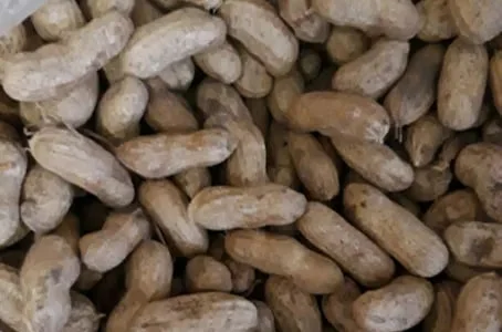 Арахис Земляной сырой в кожуре