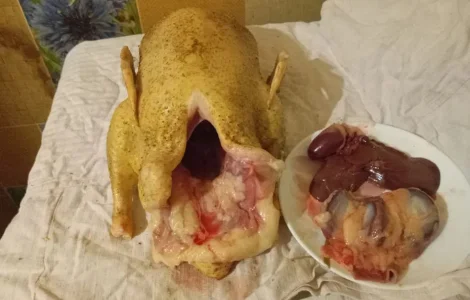 Продам мясо утки