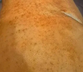 Свинина, тушки свинины