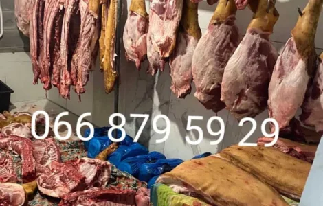 Продам мясо свинини туші свиней
