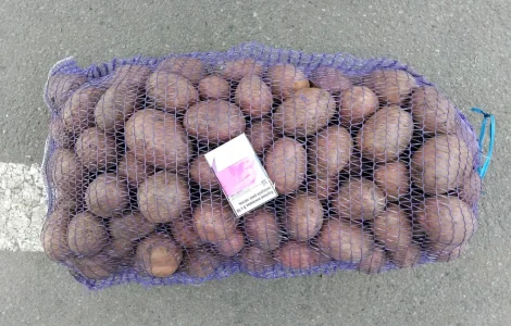 Куплю картошку разных сортов