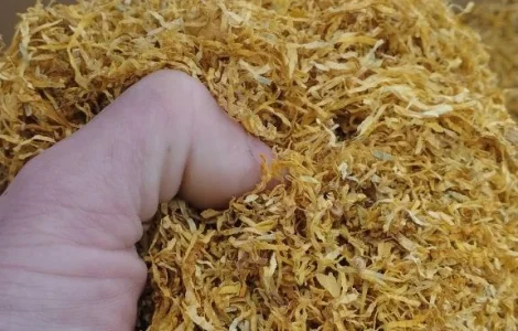 Продам гарний тютюн