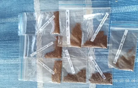 Семена табака от Табакевича