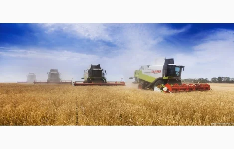 Шина 680/85R32 для комбайна CLAAS