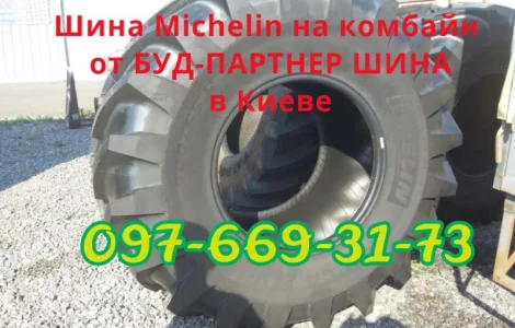 Шина 800/65R32 178A8/178B TL MEGAXBIB Michelin