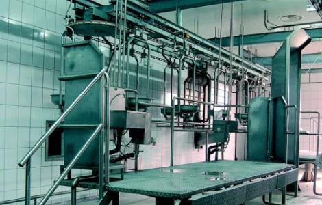 Транспортер конвейер для субпродуктов