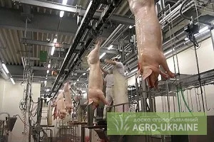 Оборудование цехов убоя и обвалки свиней птицы крс