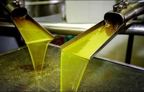 Шукаємо постачальників/виробників обладнання для рафінації та відбілювання олії