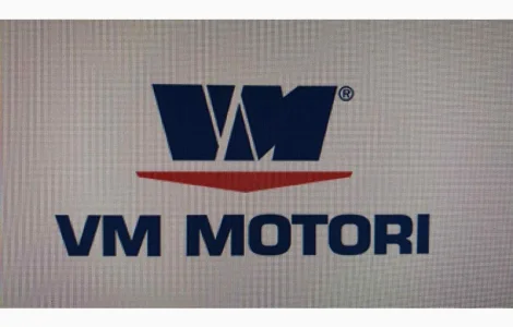 Запчастини на двигун VM Motori