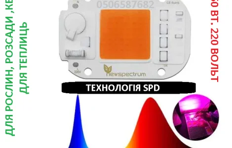Фітоматриця