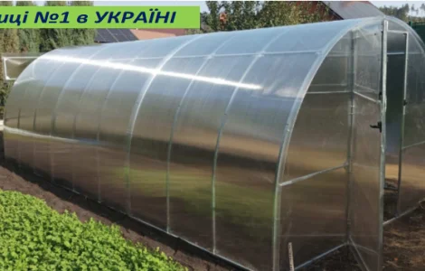 Теплицы Арочные с Поликарбонатом от ЗАВОДА теплиц