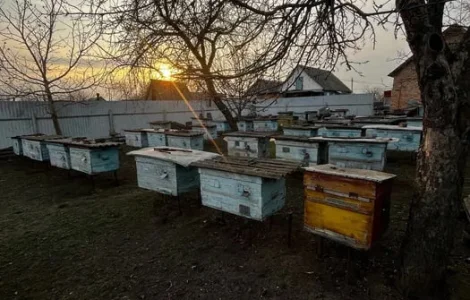 Продам вулики б/у 50 шт