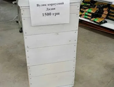 Вулики корпусні (дадан) б/в та нові