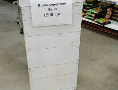 Вулики корпусні (дадан) б/в та нові