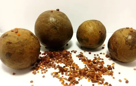 Прополіс (бджолиний клей/уза)