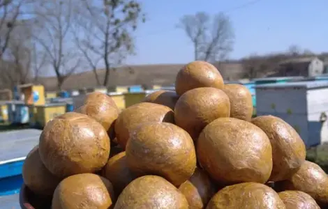 Продам прополис